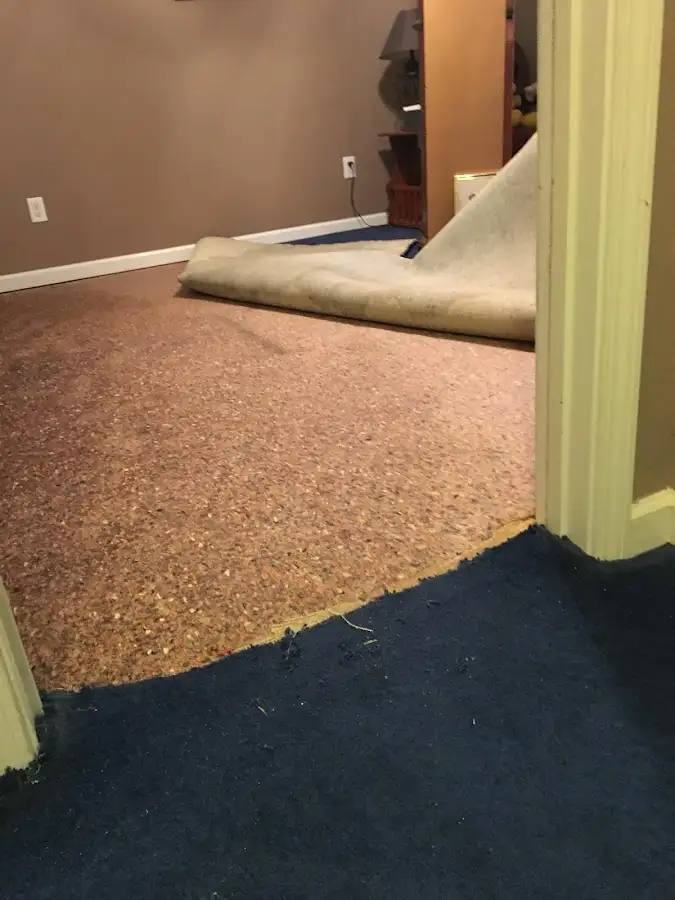 Carpet pad removal revealing water damage during Drying & Dehumidification in Cedar Lake