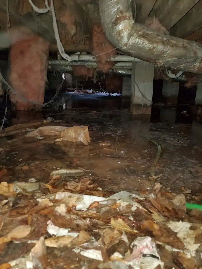 Crawl space flood assessment for Leak Detection & Repair in Cedar Lake