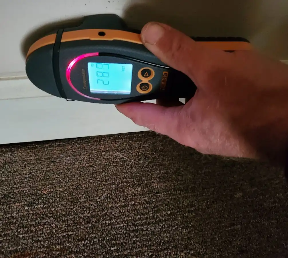 Moisture detection at baseboard during Burst Pipe Cleanup in Cedar Lake